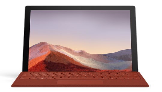 蓝山清洁和维护 Surface